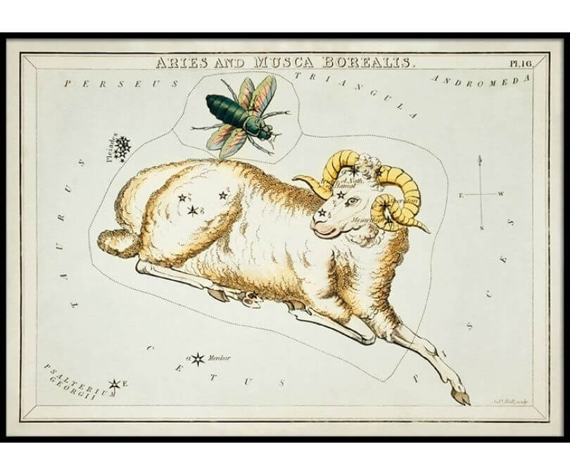 Plakat znaki zodiaku retro - Baran