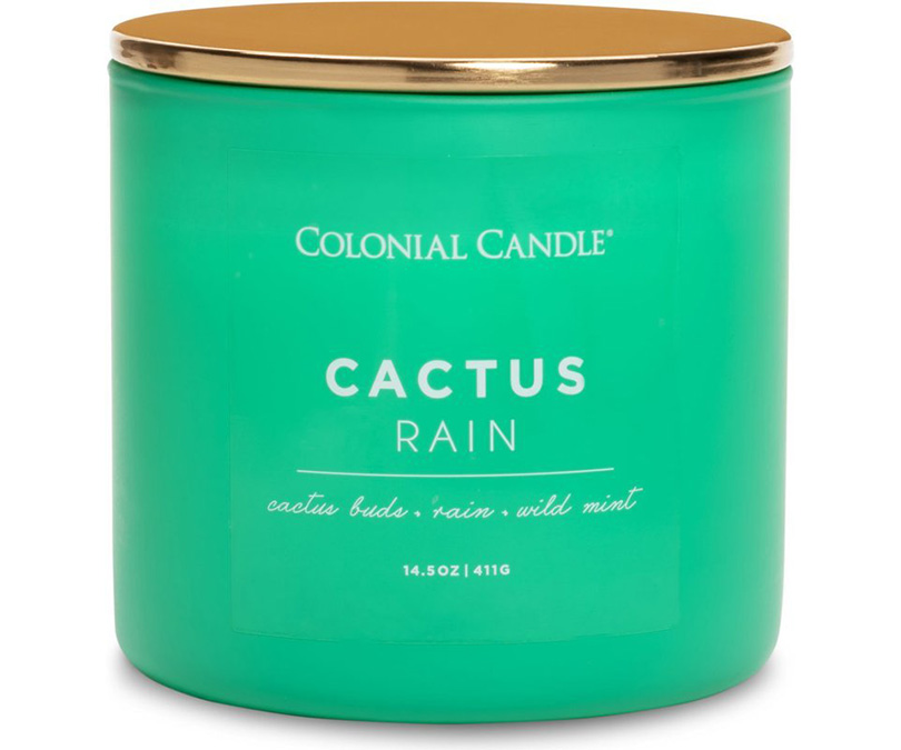 Sojowa świeca Cactus Rain Colonial Candle zapachowa w szkle 3 knoty 411g